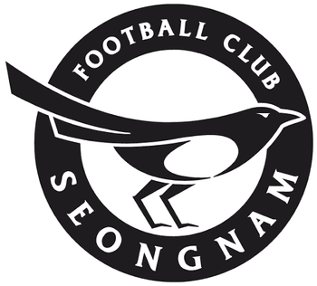 城南FCのエンブレム